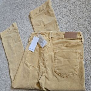 NWT Dear John Jeanne Flare Corduroy Pants Size 27 Sunset Gold